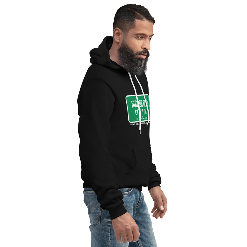 Load image into Gallery viewer, Unisex hoodie